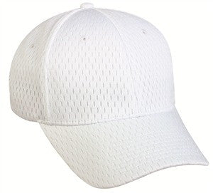 Mesh Baseball Hat